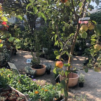 Flowerland Nursery - Nurseries & Gardening Near Me - Albany, California Flowerland Nursery - Nurseries & Gardening Near Me - Albany, California