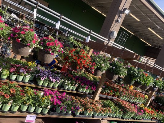 Ace Hardware of West LA by null