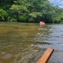 Photo of Cartecay River Experience