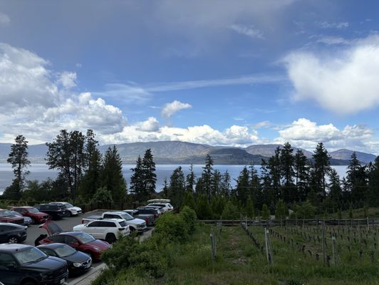 CedarCreek Estate Winery by null