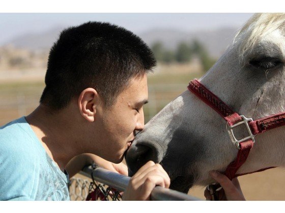 STAT Horse Sanctuary - social services organization in Hemet, CA