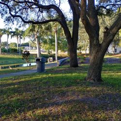 Reflections Park - Reflections Park, Cape Coral FL