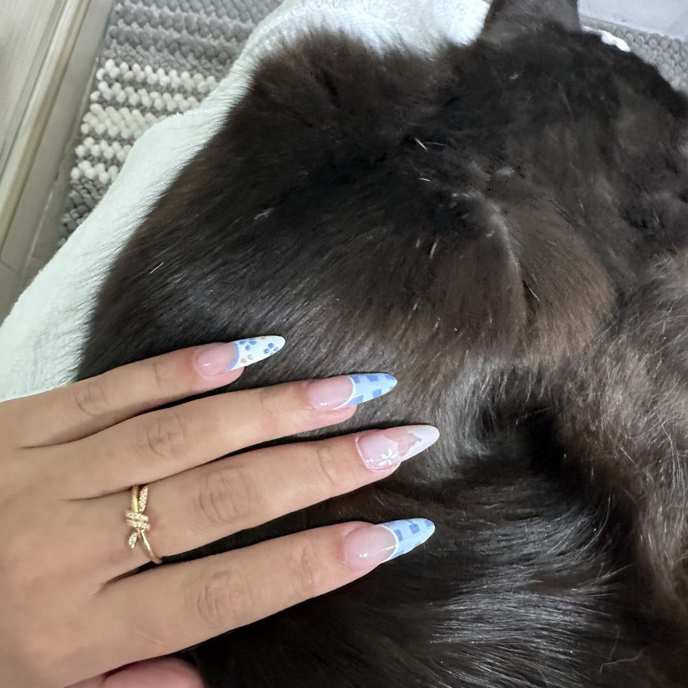 Elite Nail - Nail Salons Near Me - Santa Clara, California Elite Nail - Nail Salons Near Me - Santa Clara, California