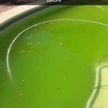Ben's Pool Service - Before - Pool Cleaners Near Me - Las Vegas, Nevada Ben's Pool Service - Before - Pool Cleaners Near Me - Las Vegas, Nevada