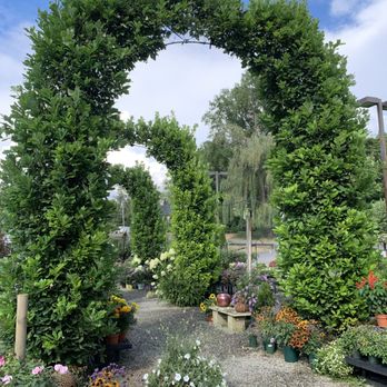 Kent Greenhouse & Gardens - Perennial area (summer) - Nurseries & Gardening Near Me - Kent, Connecticut