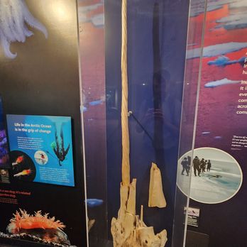 Vancouver Aquarium - Aquariums Near Me - Vancouver, British Columbia