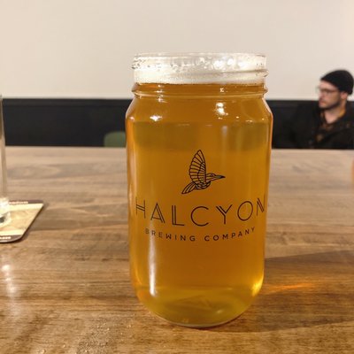 Halcyon Brewing Company by null