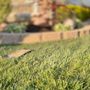 Photo of LilyBear Landscape