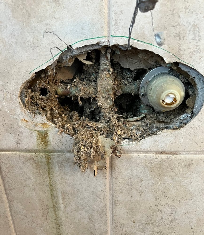 Slide of Primal Plumbing
