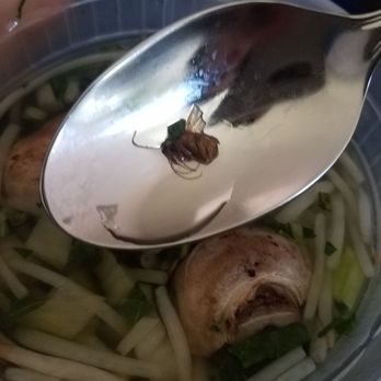 Hong Kong One - Cantonese Near Me - Ferndale, Michigan Hong Kong One - Cantonese Near Me - Ferndale, Michigan