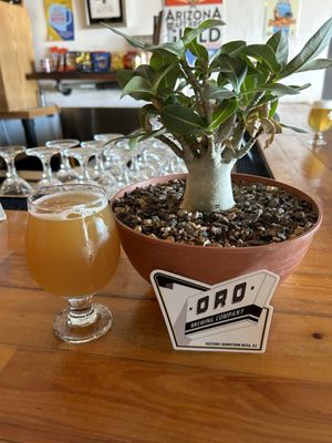Oro Brewing Company by null