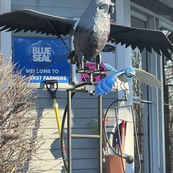 Amherst Farmers Supply - I may get this owl.