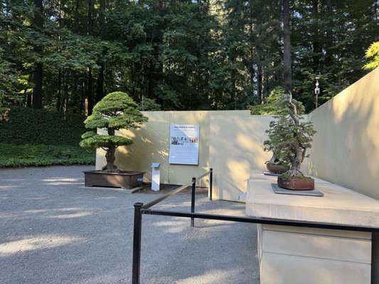 Rhododendron Species Botanical Garden by null