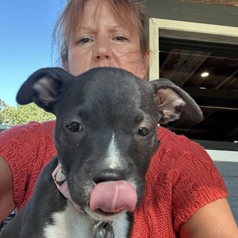 Waters Edge Dock and Grill - Peanut and I on the outside deck for dinner! - New American Near Me - Salisbury, North Carolina Waters Edge Dock and Grill - Peanut and I on the outside deck for dinner! - New American Near Me - Salisbury, North Carolina
