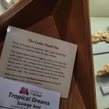 Museum of Miami - Museums Near Me - Miami, Florida Museum of Miami - Museums Near Me - Miami, Florida