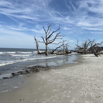 Driftwood Beach - More - Beaches Near Me - Jekyll Island, Georgia Driftwood Beach - More - Beaches Near Me - Jekyll Island, Georgia