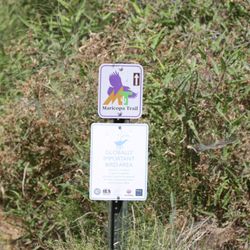 Tres Rios Wetlands