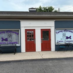Furry Mermaid Canine Company - The front of the building