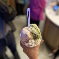 Powder - Earl Grey, Matcha Green Tea