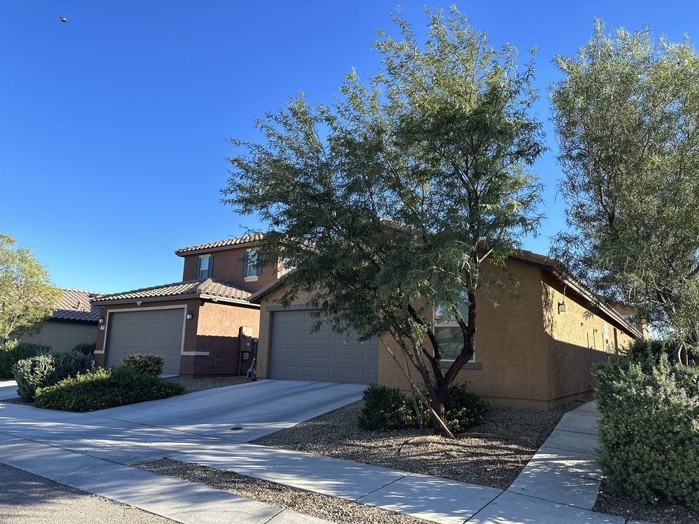 Affordable Yard And Tree Service - tree service in Tucson, AZ