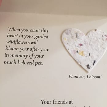 Emergency Veterinary Hospital - The heartfelt card that was sent to us from the hospital. - Veterinarians Near Me - Springfield, Oregon Emergency Veterinary Hospital - The heartfelt card that was sent to us from the hospital. - Veterinarians Near Me - Springfield, Oregon