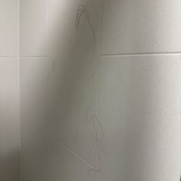Hair on the shower wall when I went to shower Hair on the shower wall when I went to shower
