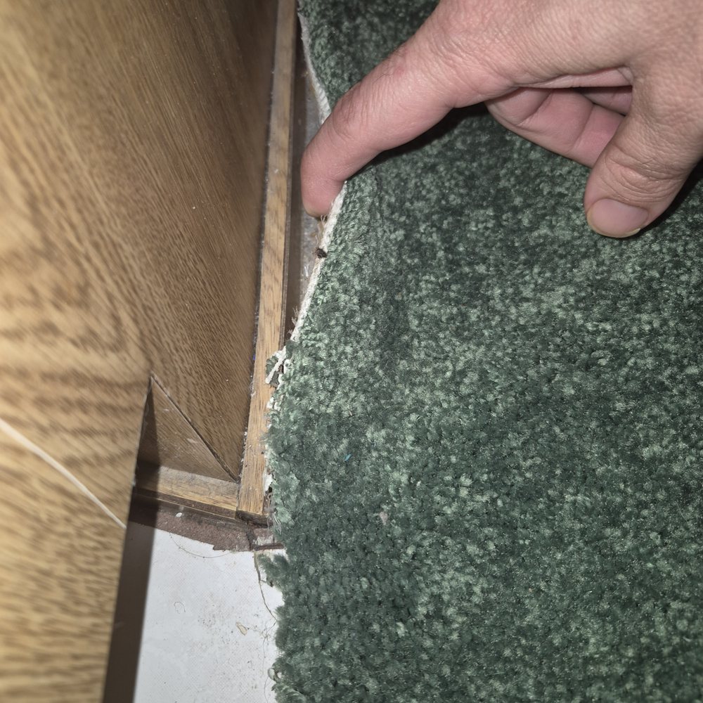 National Floors Direct - Flooring Near Me National Floors Direct - Flooring Near Me