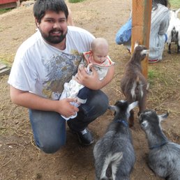 Visiting the goats