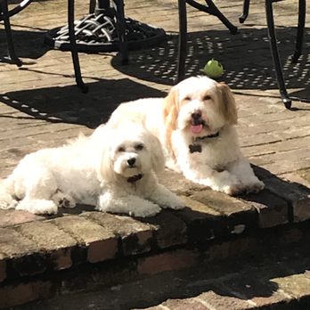 Mobile Pet Spa - Pet Groomers Near Me Mobile Pet Spa - Pet Groomers Near Me