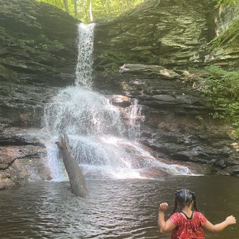 Ricketts Glen State Park - Falls located 3 1/2 miles into trail at State Park. - Parks Near Me - Benton, Pennsylvania Ricketts Glen State Park - Falls located 3 1/2 miles into trail at State Park. - Parks Near Me - Benton, Pennsylvania
