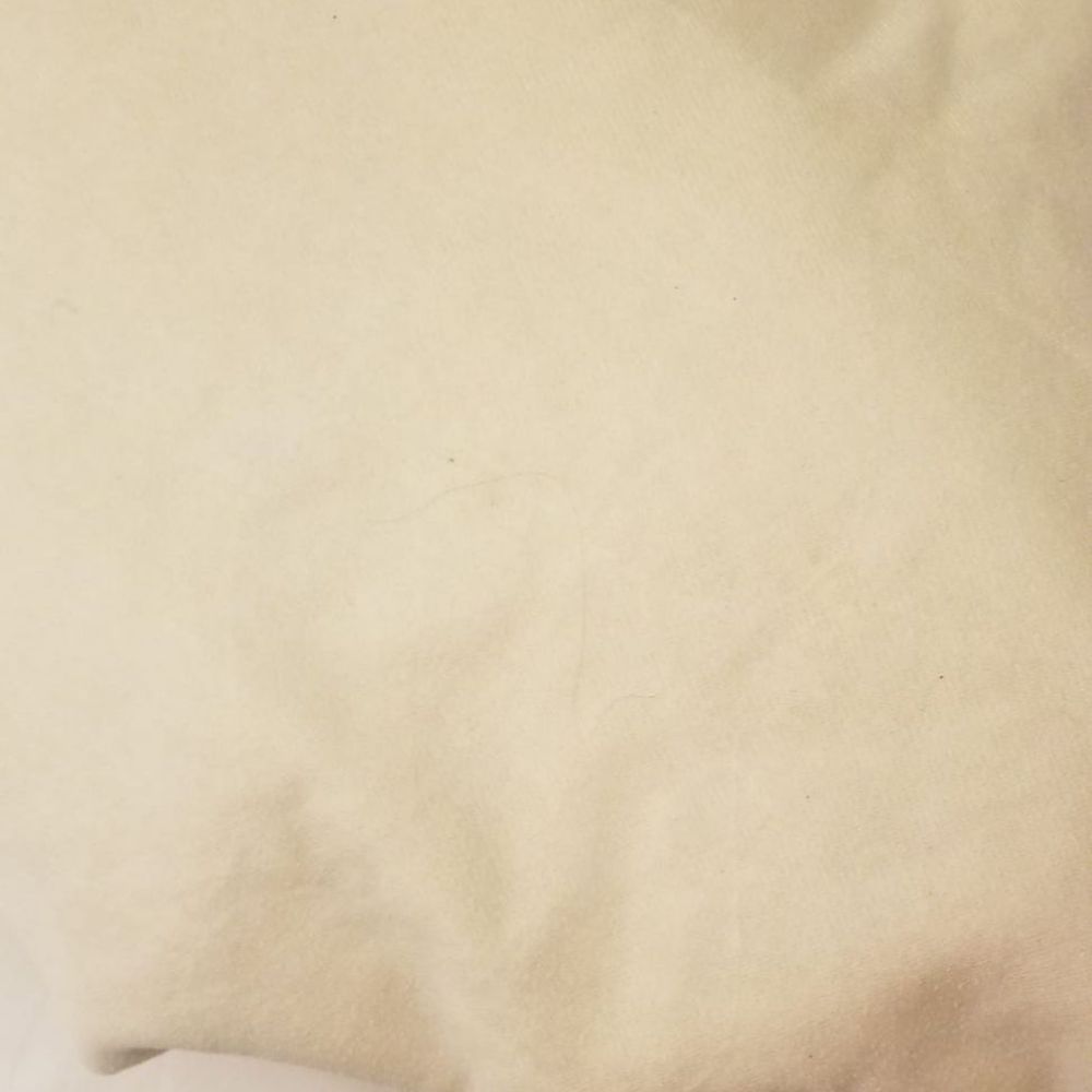 Oceanfront Inn - Hairs and other residues seen in the place where u r supposed to sleep - Hotels Near Me - Virginia Beach, Virginia