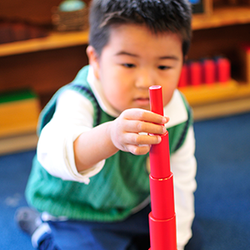 Montrose Christian Montessori School - Working on a sensorial job!