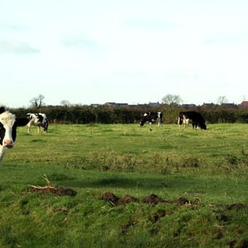 Locking Head Farm Bed and Breakfast - From website - Bed & Breakfast Near Me - Weston-Super-Mare, NSM