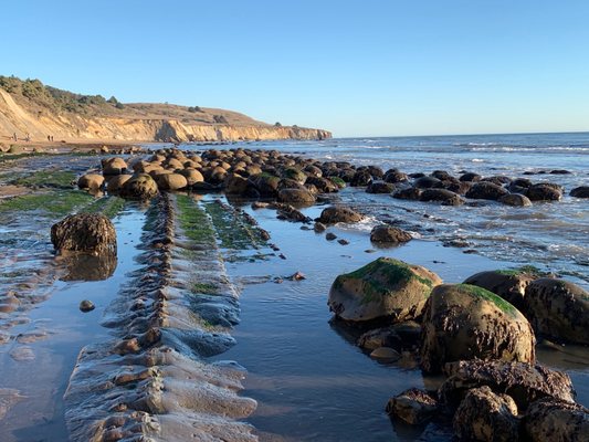 Bowling Ball Beach Trailhead by null