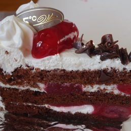 Black Forest 8"