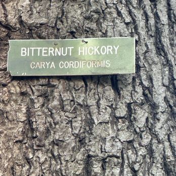 Bartram's Garden - Tree sign - Landmarks & Historical Buildings Near Me - Philadelphia, Pennsylvania Bartram's Garden - Tree sign - Landmarks & Historical Buildings Near Me - Philadelphia, Pennsylvania