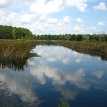 Caw Caw Interpretive Center County Park - cloud reflection off waters - Parks Near Me - Ravenel, South Carolina Caw Caw Interpretive Center County Park - cloud reflection off waters - Parks Near Me - Ravenel, South Carolina