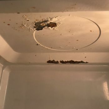 Sol at West Village - Here is the microwave oven that West Village provided for four students to use as it was on move in day. - Apartments Near Me - Davis, California