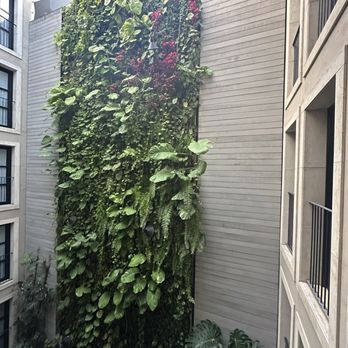 The Wittmore - Living atrium wall - Hotels Near Me - Barcelona, B