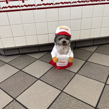 In-N-Out Burger - We took some photos of our pups at different locations for Halloween we love in and out. - Fast Food Near Me - Tustin, California In-N-Out Burger - We took some photos of our pups at different locations for Halloween we love in and out. - Fast Food Near Me - Tustin, California