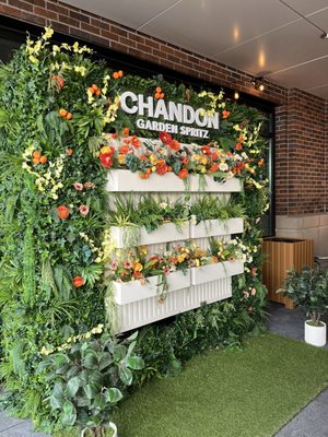 dock and drink by null