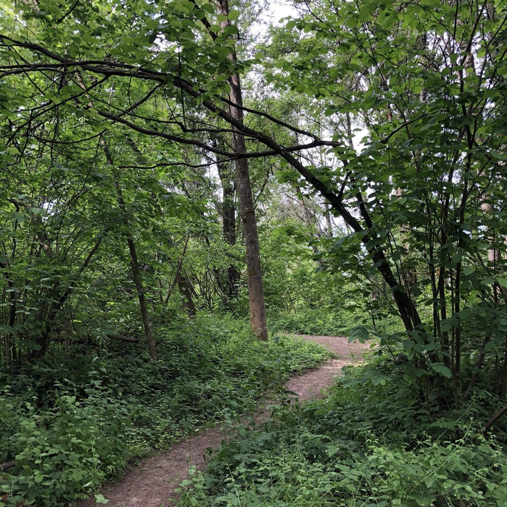 Summerlake Park - There were some great little trails with a beautiful view of the lake. - Parks Near Me - Tigard, Oregon Summerlake Park - There were some great little trails with a beautiful view of the lake. - Parks Near Me - Tigard, Oregon