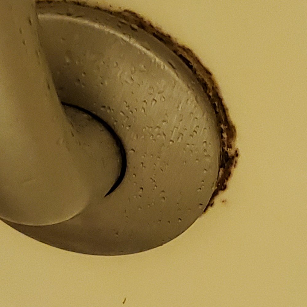 Courtyard by Marriott Myrtle Beach Broadway - Mold in the bathrooms - Hotels Near Me - Myrtle Beach, South Carolina