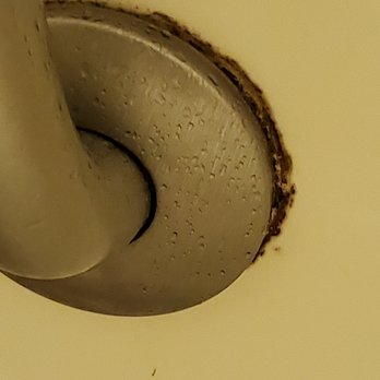 Courtyard by Marriott Myrtle Beach Broadway - Mold in the bathrooms - Hotels Near Me - Myrtle Beach, South Carolina Courtyard by Marriott Myrtle Beach Broadway - Mold in the bathrooms - Hotels Near Me - Myrtle Beach, South Carolina