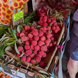 Sun Chong Grocery