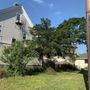 Photo of Bogan Tree Service