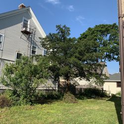 Bogan Tree Service