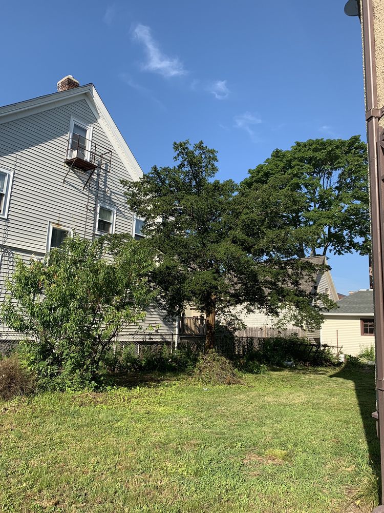 Bogan Tree Service - tree service in Quincy, MA