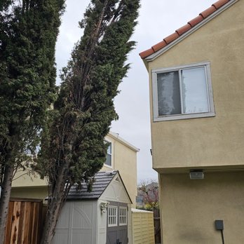 Appletree Services - Tree leaning - Pic #2 - Tree Services Near Me