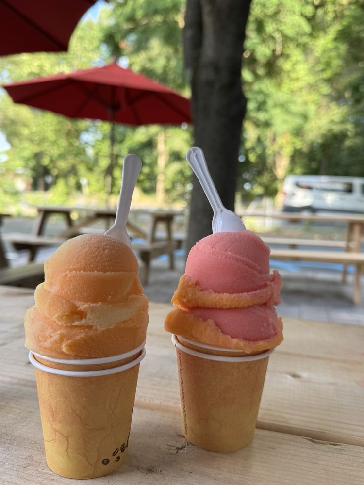 Penny Lane Premium Ices Logo